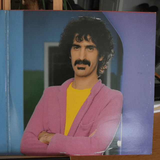 FRANK ZAPPA - You are what you is