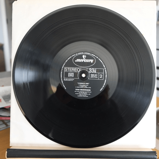 VAN MORRISON - Common one