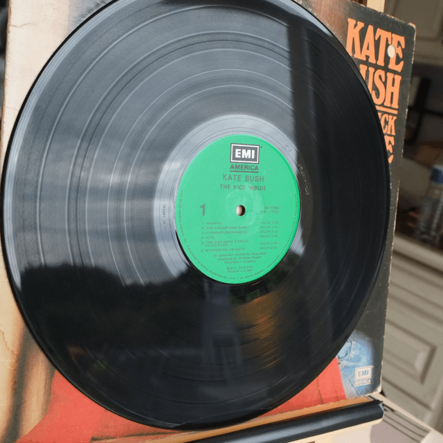 KATE BUSH - The kick inside