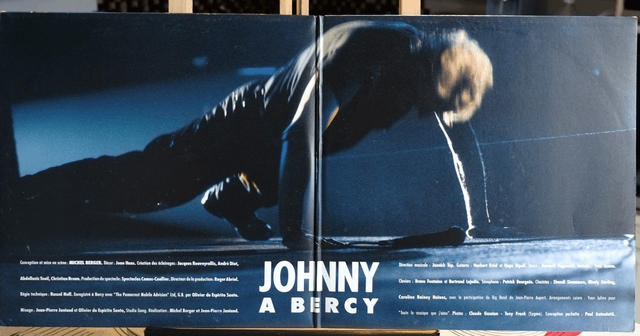 JOHNNY HALLYDAY - Johnny à Bercy