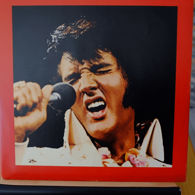 ELVIS PRESLEY - A legendary performer