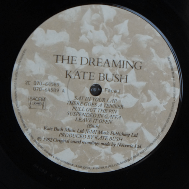 KATE BUSH - The dreaming