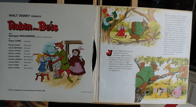 ROBIN DES BOIS