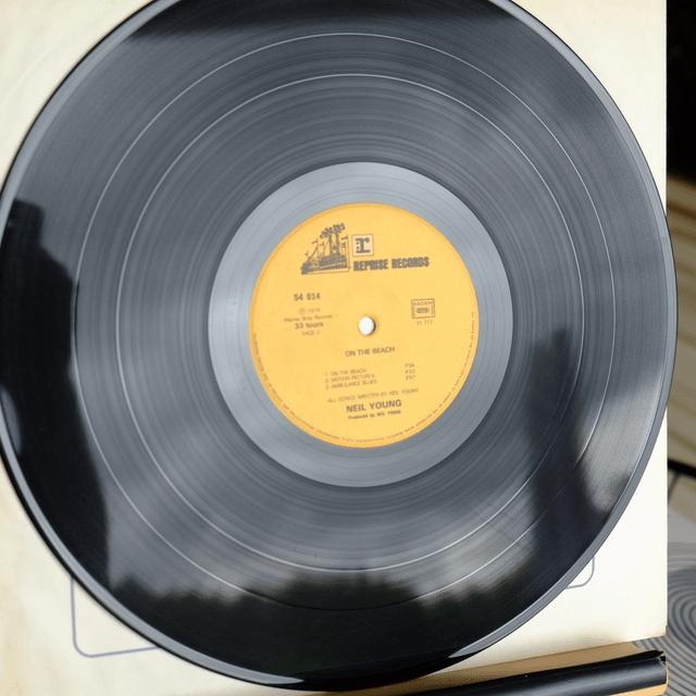NEIL YOUNG - On the beach
