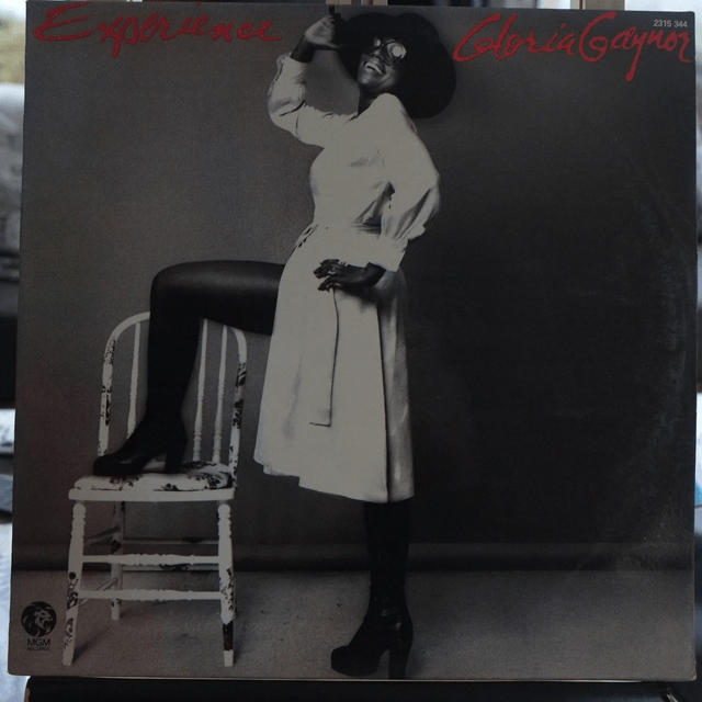 Gloria Gaynor - Experience
