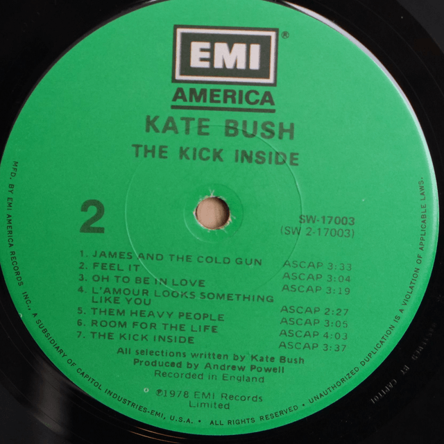 KATE BUSH - The kick inside
