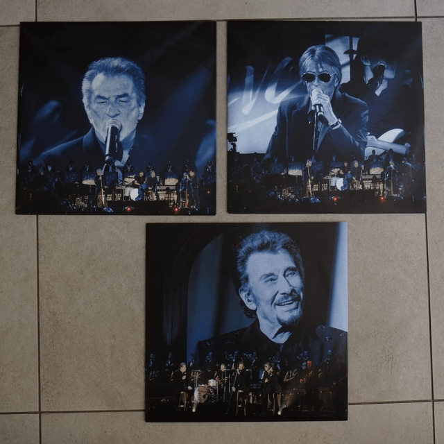 LES VIEILLES CANAILLES - L'album live