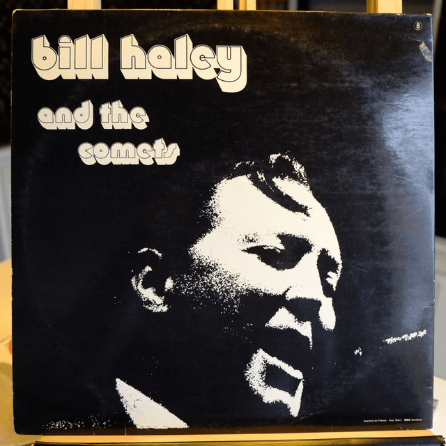 Bill Haley and the comets - The ki,g of rock