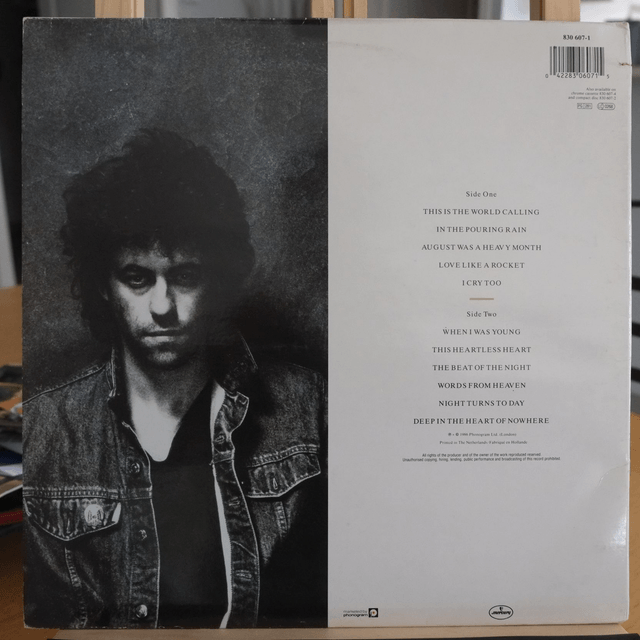 Bob Geldof - Deep in the heart of nowhere