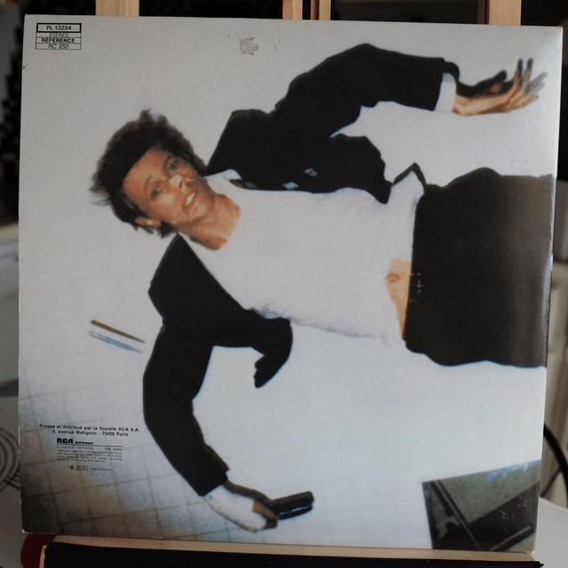 DAVID BOWIE - Lodge