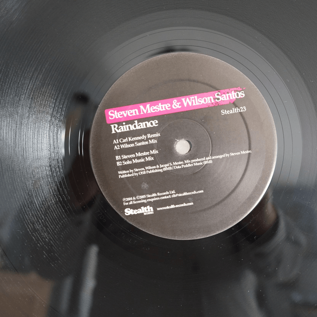  Steven Mestre & Wilson Santos ‎– Raindance