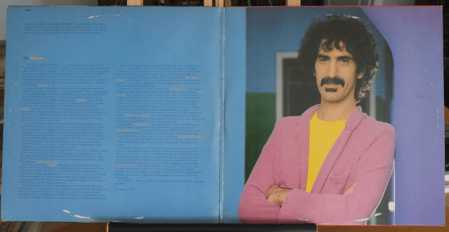 FRANK ZAPPA - You are what you is