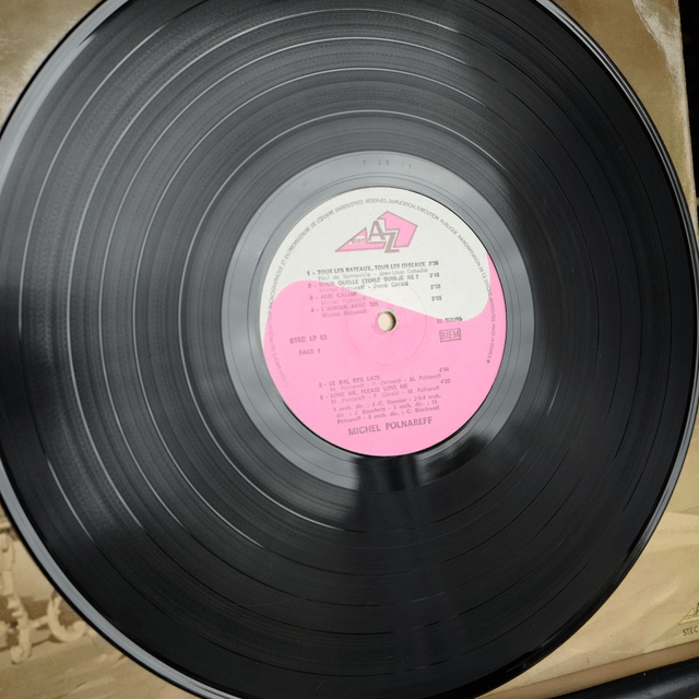MICHEL POLNAREFF - Le disque d'or des disques d'or