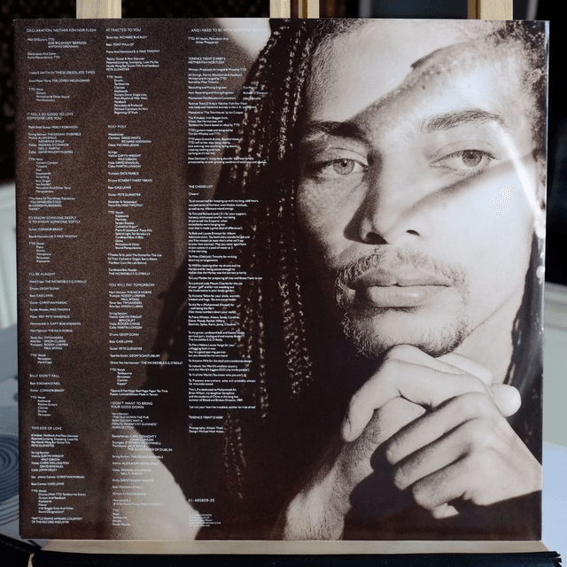 TERENCE TRENT D'ARBY - Neither fish nor flesh