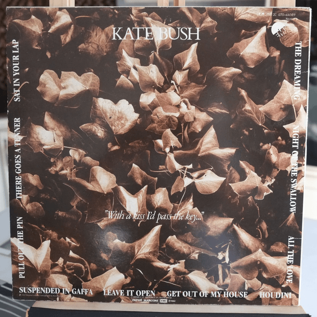 KATE BUSH - The dreaming