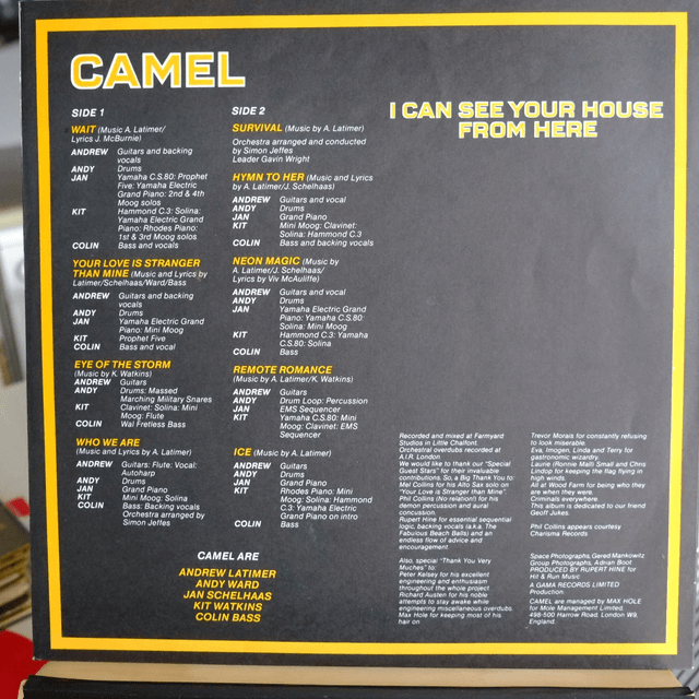 CAMEL - I can see your house from here