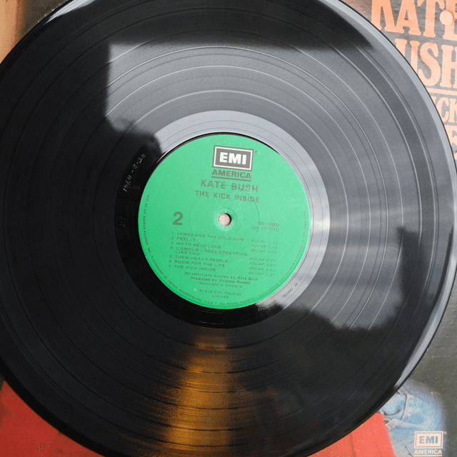 KATE BUSH - The kick inside