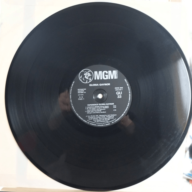 Gloria Gaynor - Experience