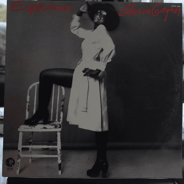 Gloria Gaynor - Experience