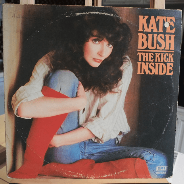 KATE BUSH - The kick inside