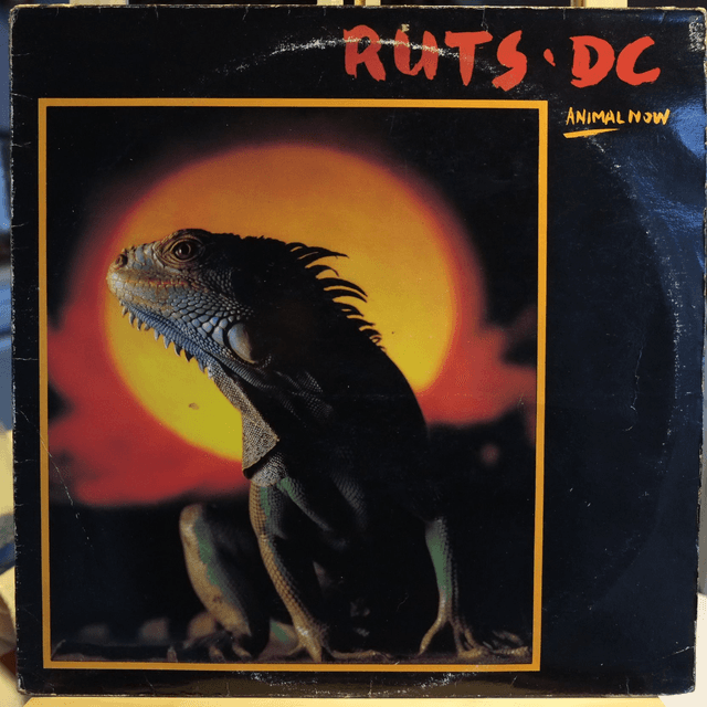 RUTS - Animal now